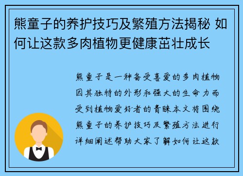 熊童子的养护技巧及繁殖方法揭秘 如何让这款多肉植物更健康茁壮成长